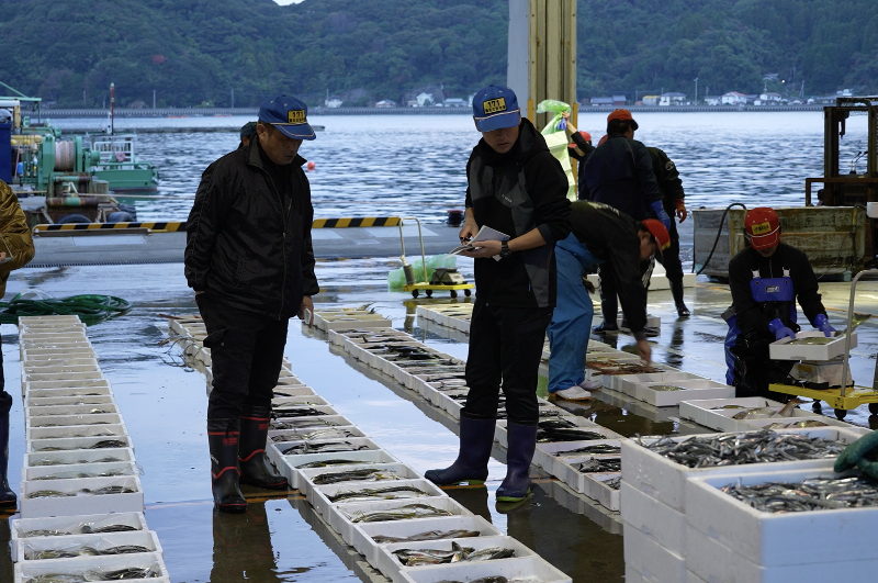 株式会社水元の求人・転職情報