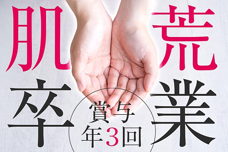 ピアス株式会社の求人・転職情報