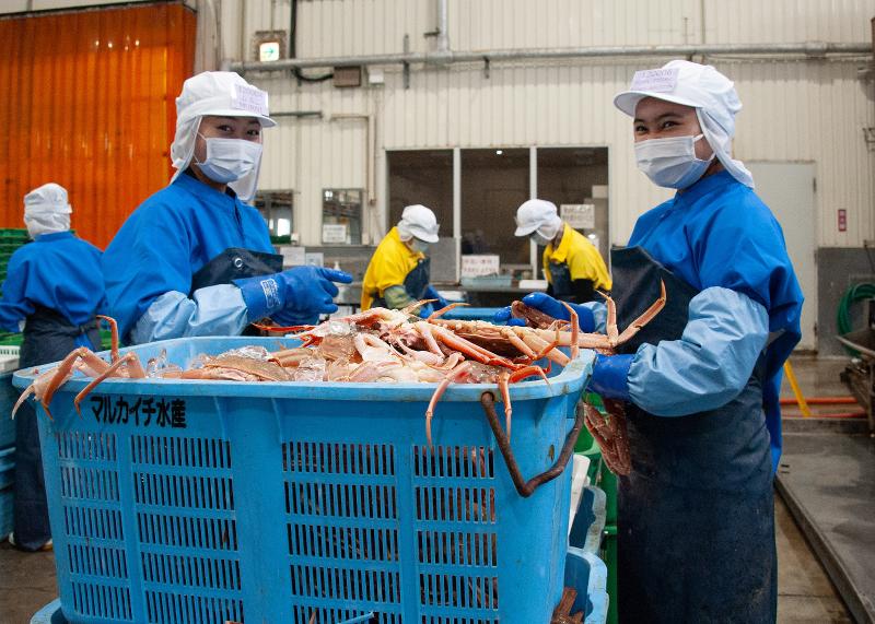 マルカイチ水産株式会社の求人・転職情報
