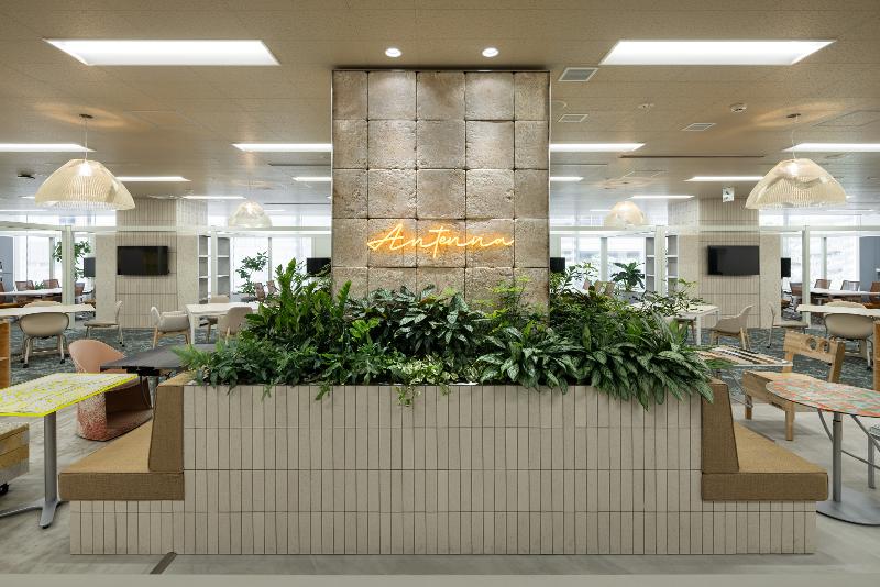 (株)ATOMica-0017の求人・転職情報