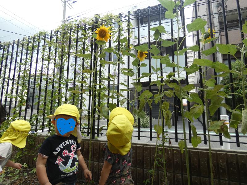 社会福祉法人遊星会　りんりん保育園 南昭和町のアルバイト・バイト求人情報-03