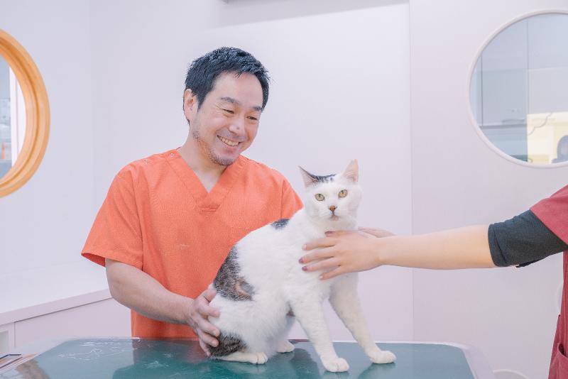 ひとみ動物病院のアルバイト・バイト求人情報-05