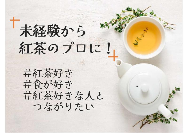 神戸紅茶(株)の求人・転職情報