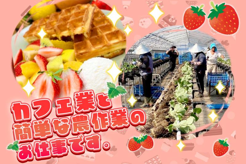 Ichinaのアルバイト・バイト求人情報-05