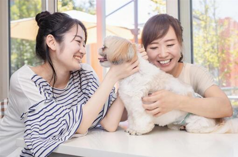 株式会社ＭＯＣＯＣＯの求人・転職情報