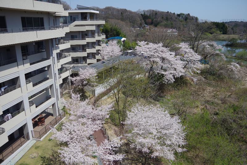 株式会社デザイン工房の求人・転職情報