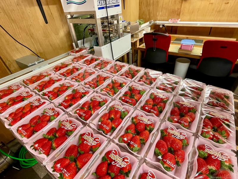 小林いちご農園のアルバイト・バイト求人情報-03