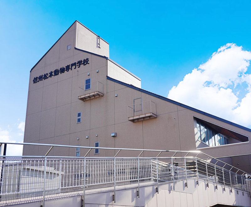 学校法人未来学舎の求人・転職情報