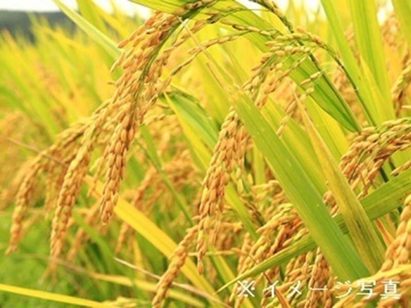 協友アグリ株式会社の求人・転職情報