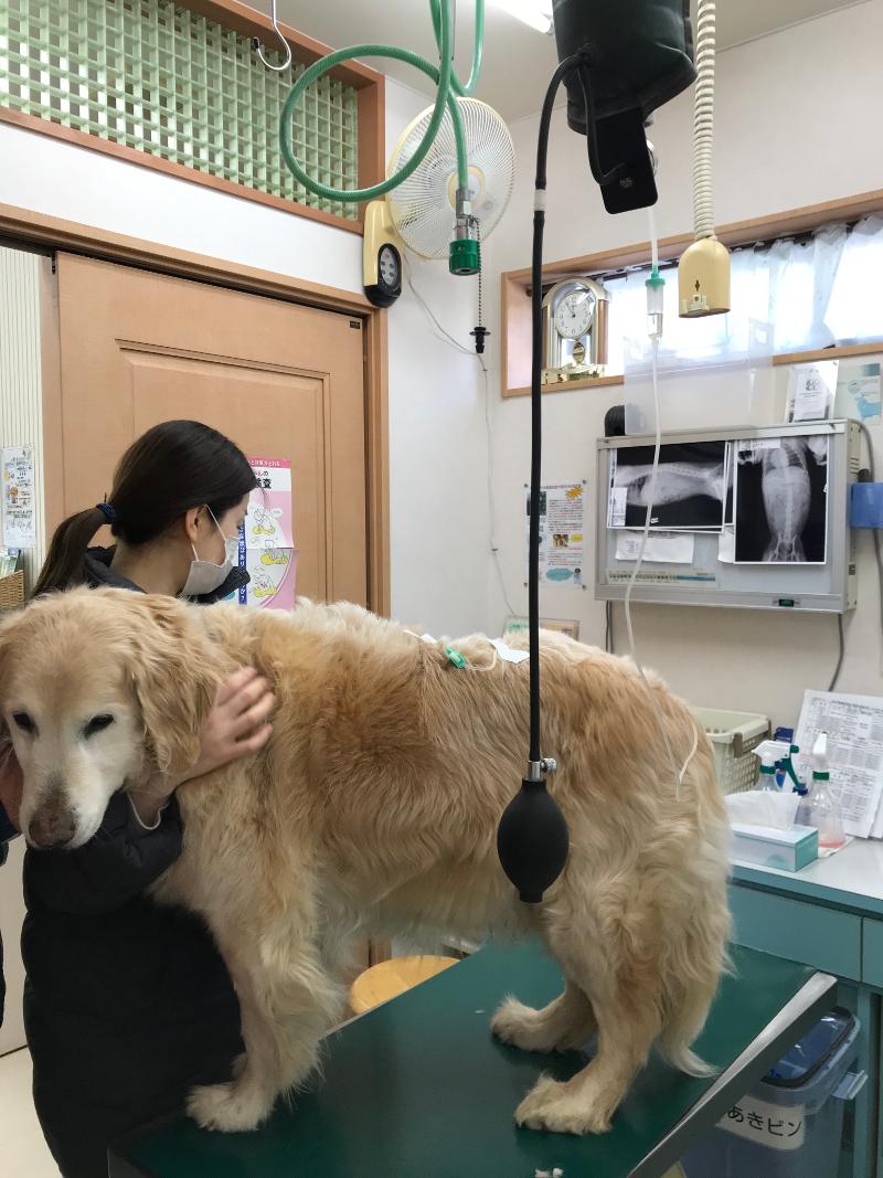 トム・ソーヤー動物病院のアルバイト・バイト求人情報-02