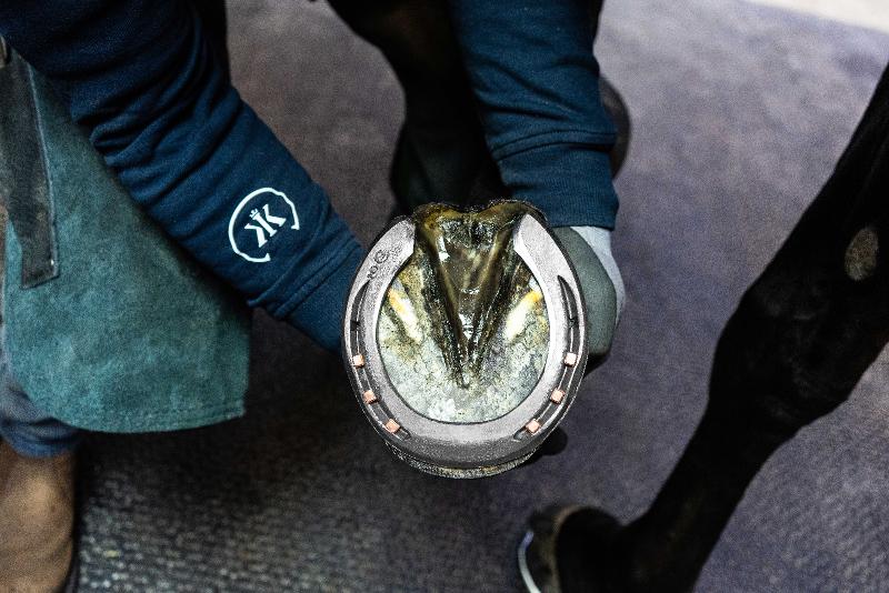 有限会社　今井製作所の求人・転職情報