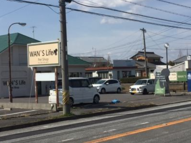 株式会社ワンズライフのアルバイト・バイト求人情報-04