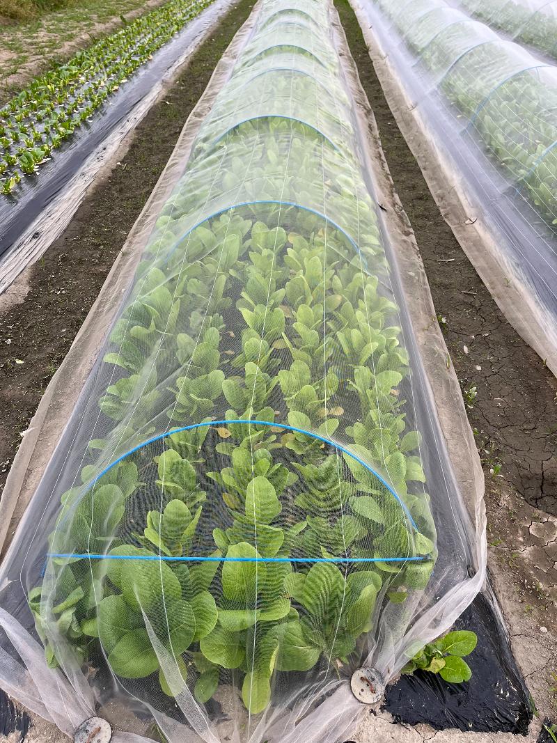 アントニーファーム株式会社のアルバイト・バイト求人情報-02