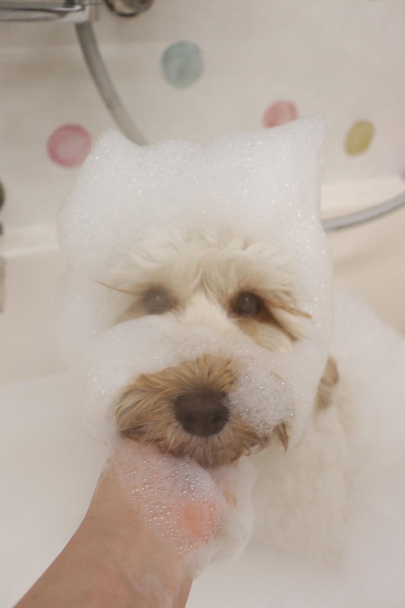 株式会社ユーアイヒルズの求人・転職情報