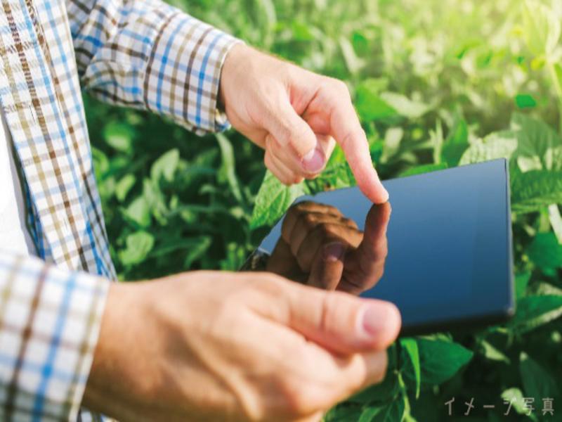 ヴィルモランみかど株式会社の求人・転職情報