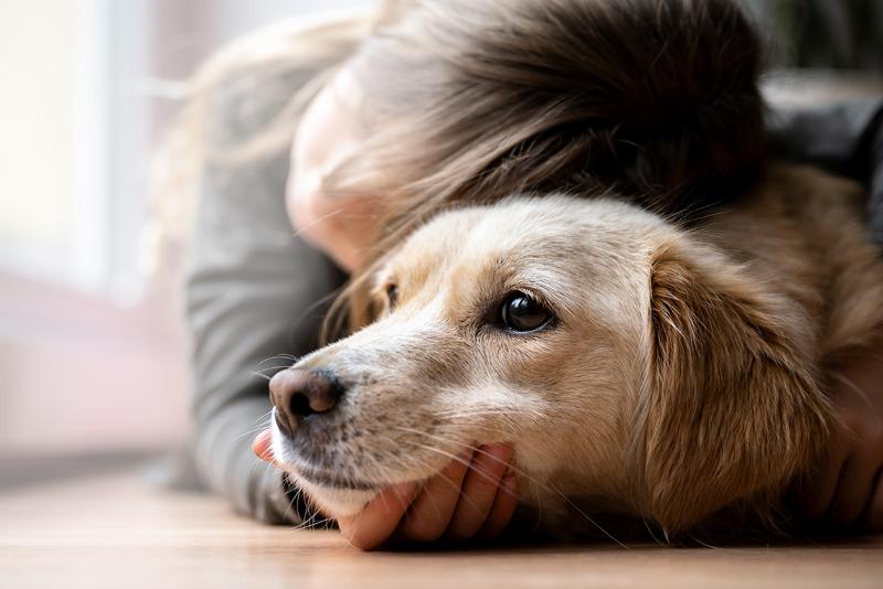 株式会社ディレクトリィの求人・転職情報