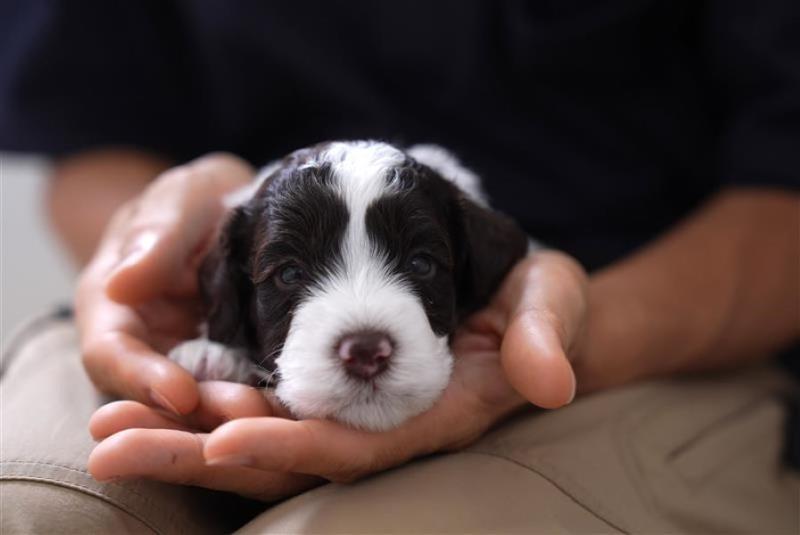 株式会社　レイクウッズガーデンのアルバイト・バイト求人情報-03