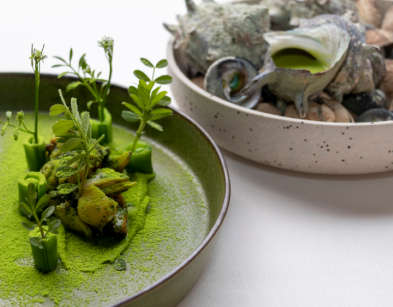 株式会社Ｄｒｅｓｓの求人・転職情報