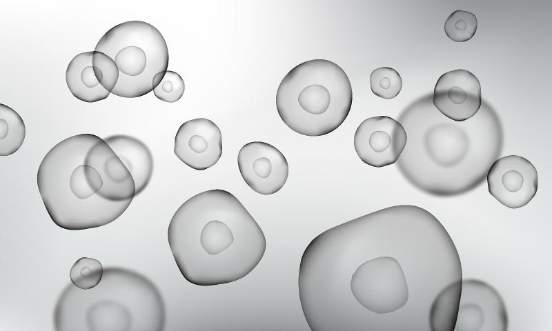 STEMCELL & Co.株式会社のアルバイト・バイト求人情報-02