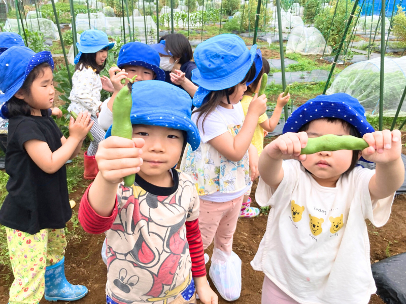 輝きベビー保育園 篠崎のアルバイト・バイト求人情報-04
