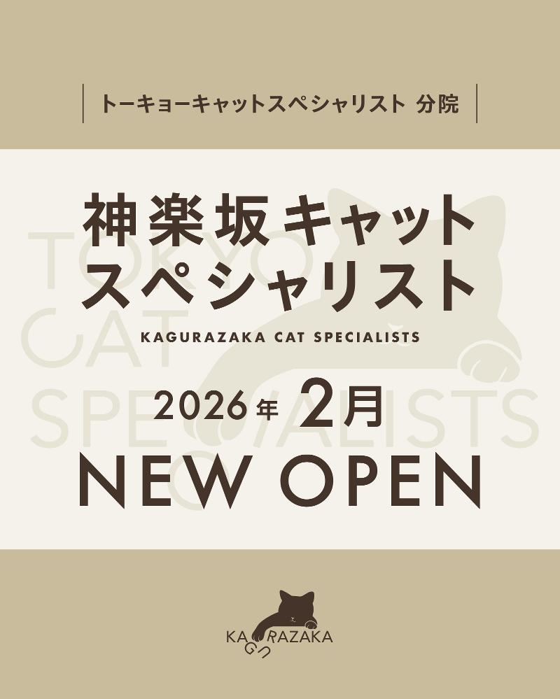 (株)Cat Cat Catの求人・転職情報