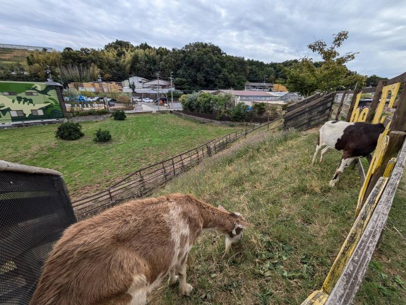 株式会社ユニバーサル園芸社のアルバイト・バイト求人情報-03