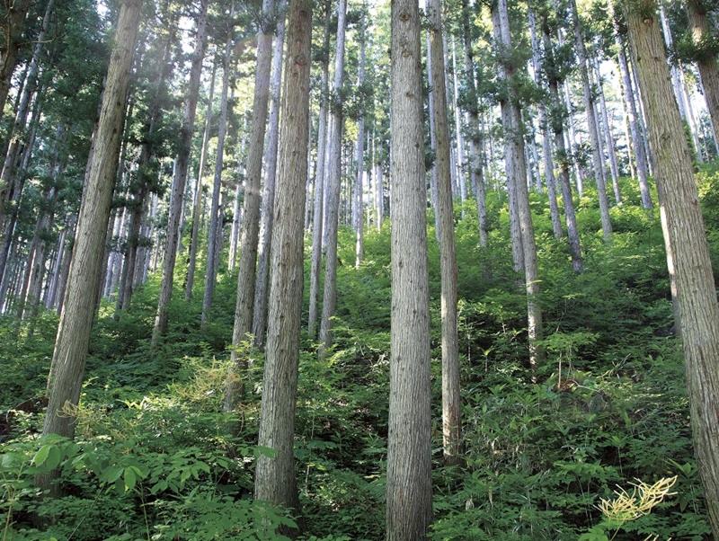 一般社団法人やましごと工房の求人・転職情報