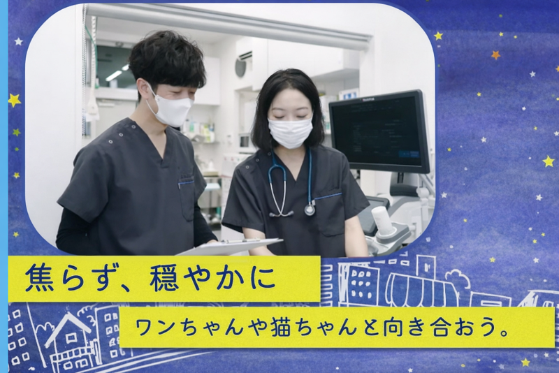 水戸夜間救急動物医療センターの求人・転職情報