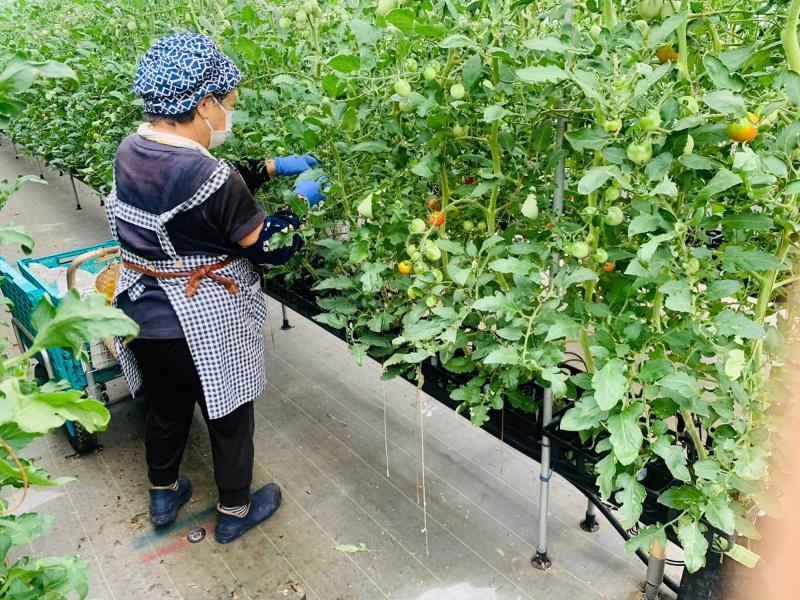 明石ファーム株式会社