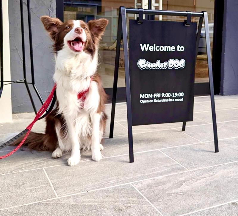 School of DOG 二子玉川店のアルバイト・バイト求人情報-02