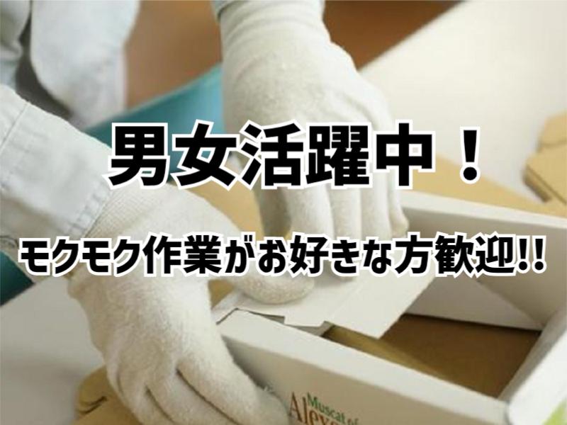 株式会社マリアキャスト