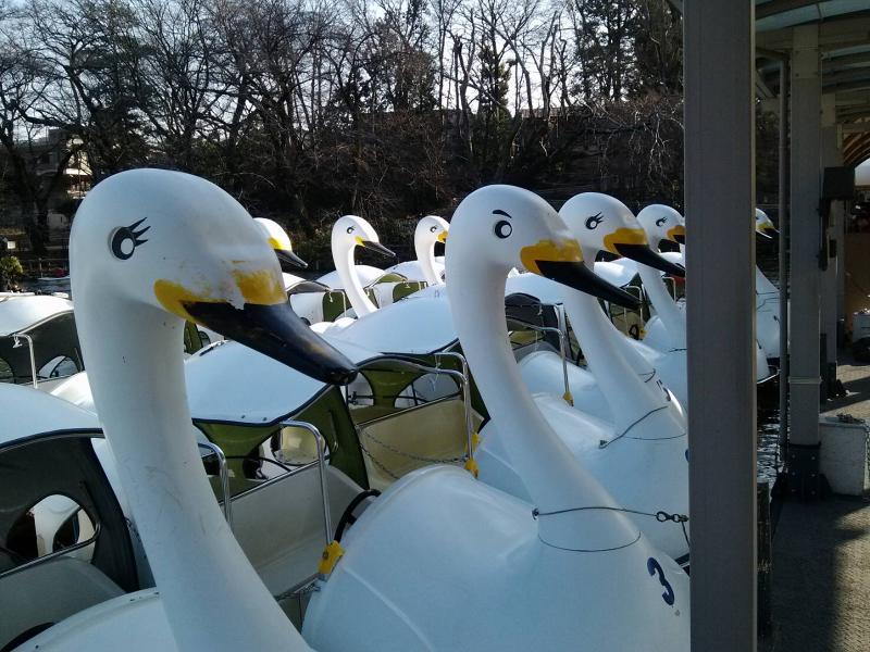 井の頭公園ボート場のアルバイト・バイト求人情報-05