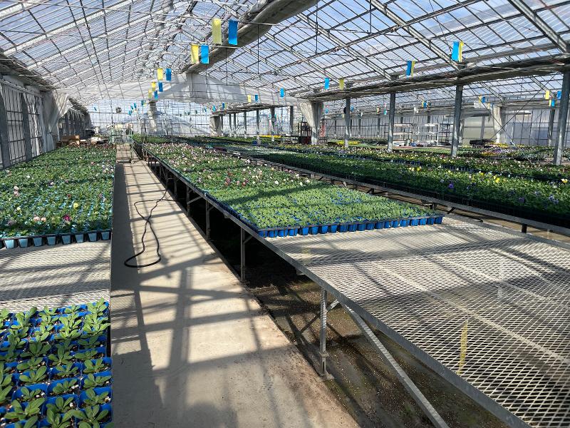 有限会社　小林農園の派遣求人情報