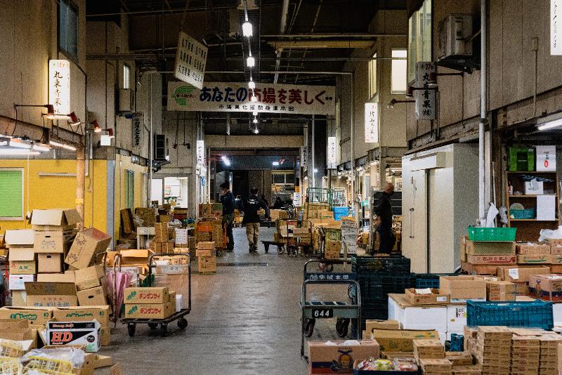 薄井青果株式会社の求人・転職情報