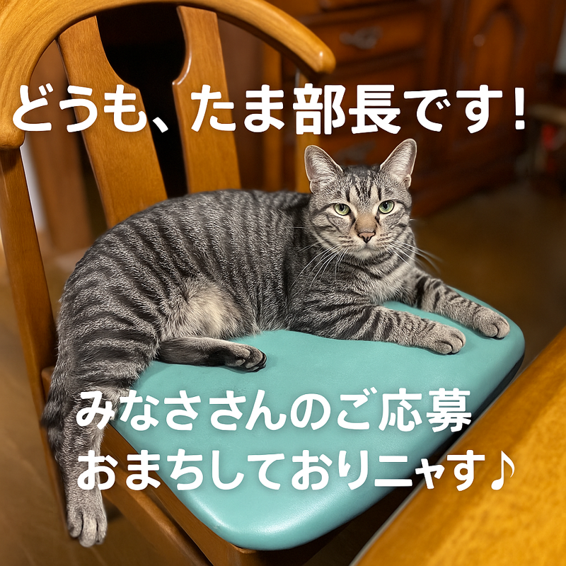 株式会社FukuokaDAIKOKUの求人情報