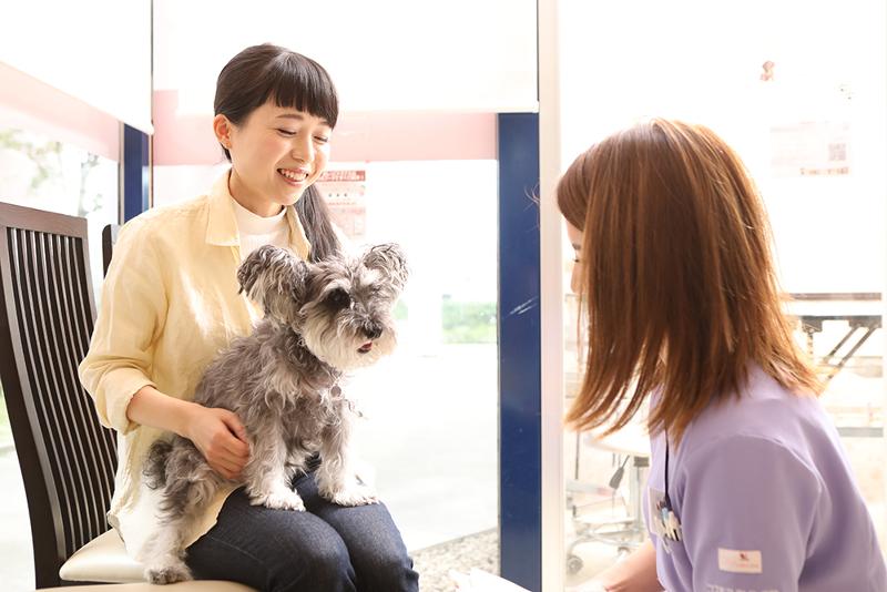 株式会社アニマルホールドの求人・転職情報