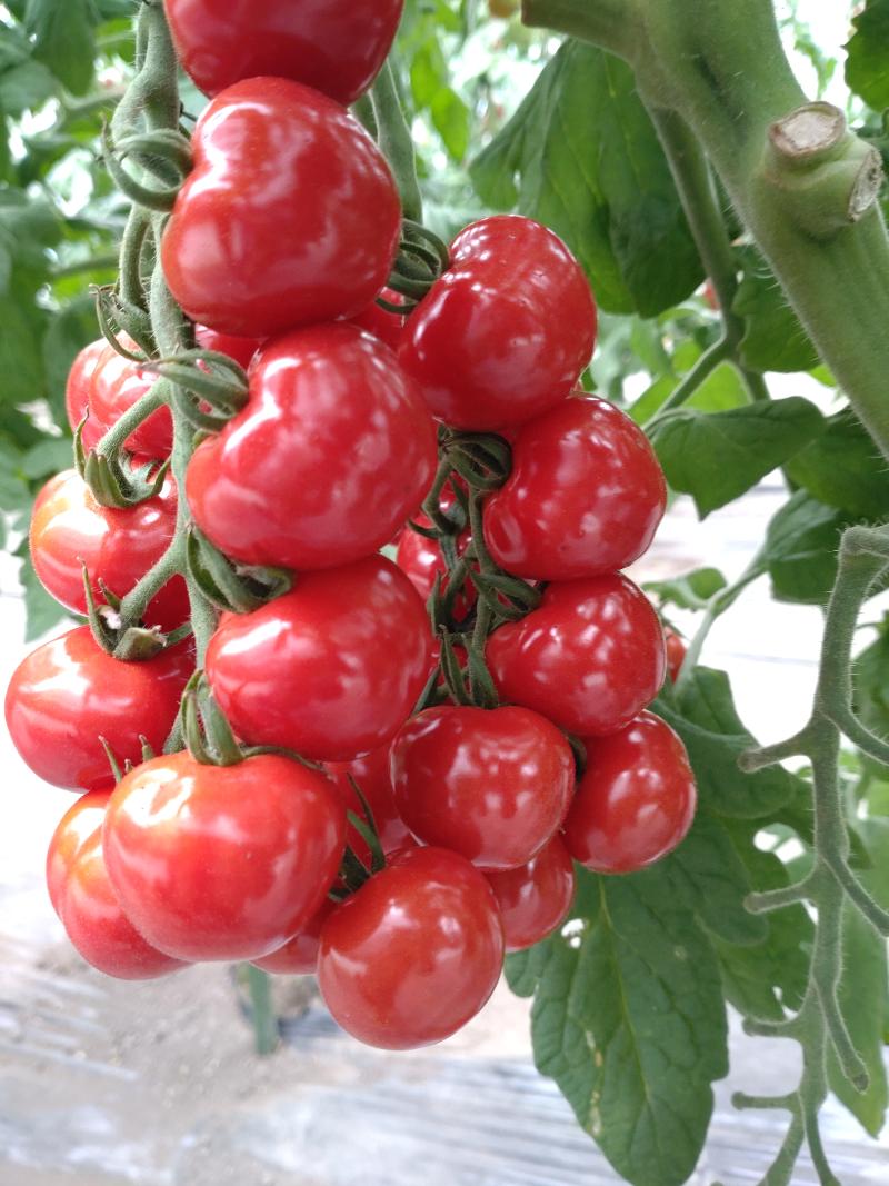 開成建設工業株式会社の派遣求人情報