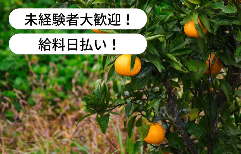 東山農園の派遣求人情報