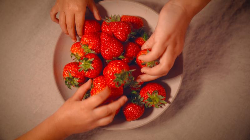 Oishii　Farm株式会社の派遣求人情報