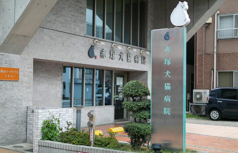 下末吉赤塚犬猫病院(VCA Japan 合同会社)のアルバイト・バイト求人情報-03