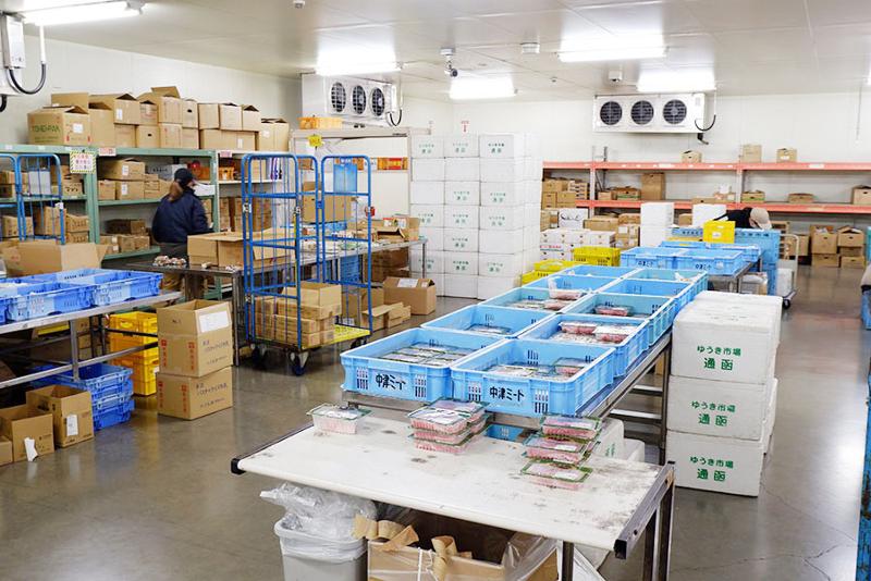 株式会社サンクス(あおば新横浜ロジスティクスセンター)の求人情報