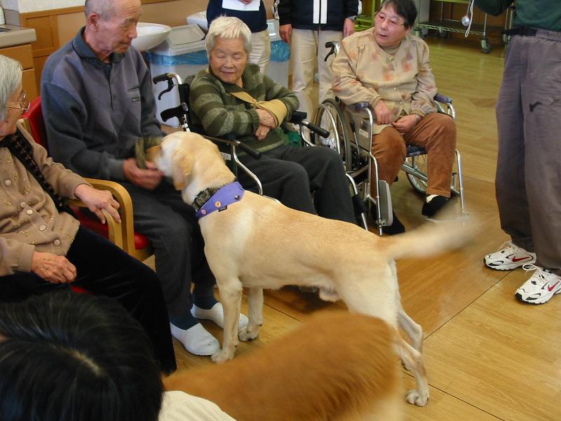 介護老人保健施設さくらの里のアルバイト・バイト求人情報-03