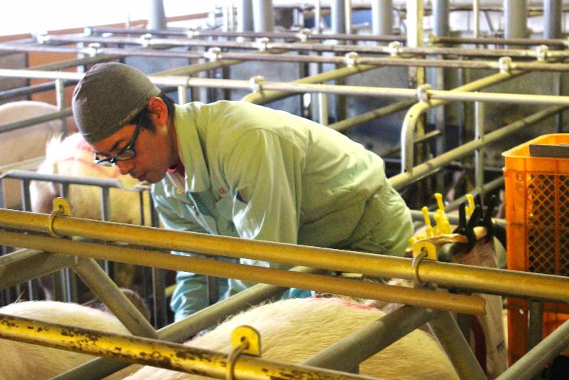 株式会社オーケーコーポレーションのアルバイト・バイト求人情報-03