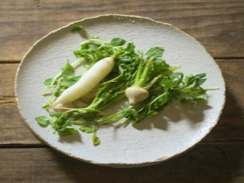 えひめ未来農業協同組合の派遣求人情報