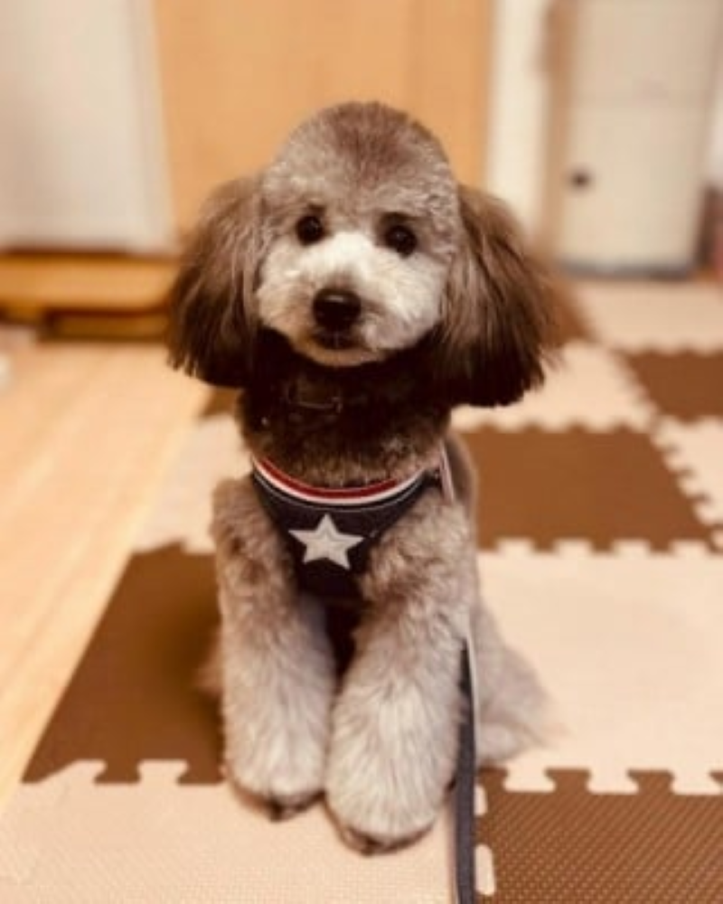 株式会社 湯の郷のアルバイト・バイト求人情報-03