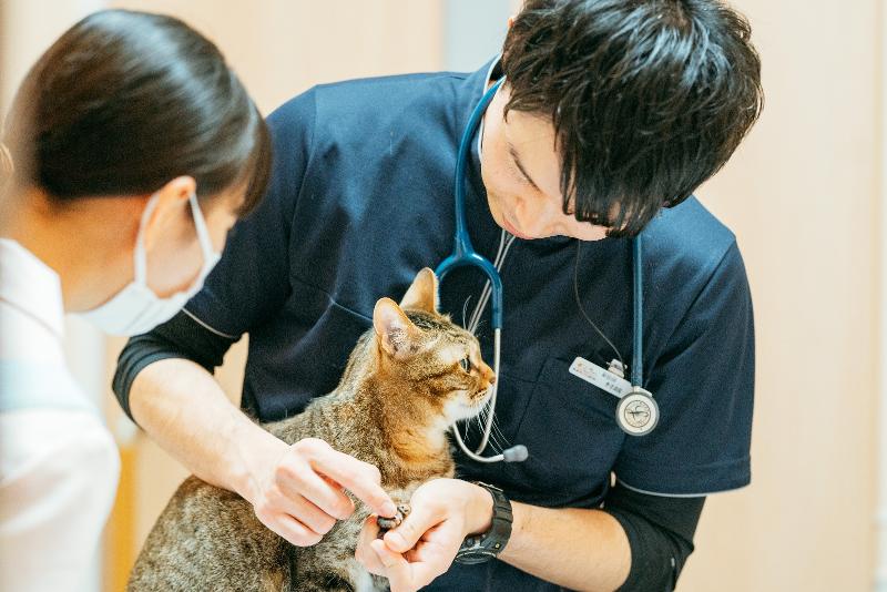 AMAペットライフケア株式会社　あま動物病院のアルバイト・バイト求人情報-03