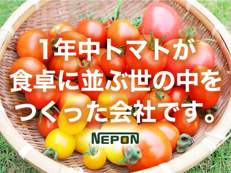 ネポン株式会社の求人・転職情報