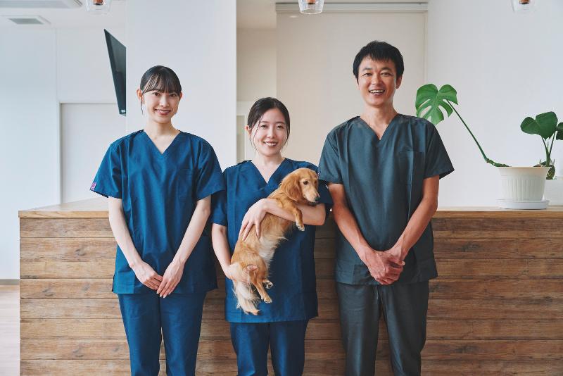 株式会社キャミックの求人・転職情報