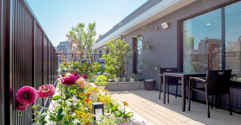 株式会社桜十字の求人・転職情報