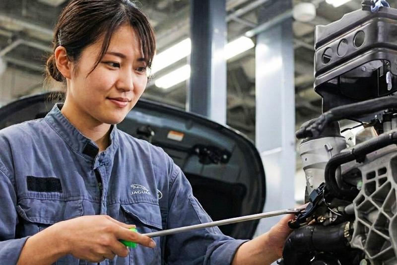 ウイルプラスエンハンス株式会社の求人・転職情報